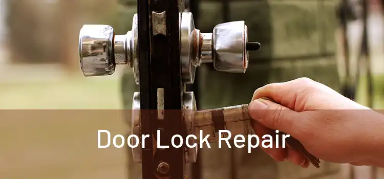 Door Lock Repair